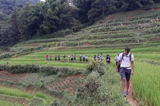 1-day Authentik trek & Panorama valley views - Timing, meeting point, and practical planning