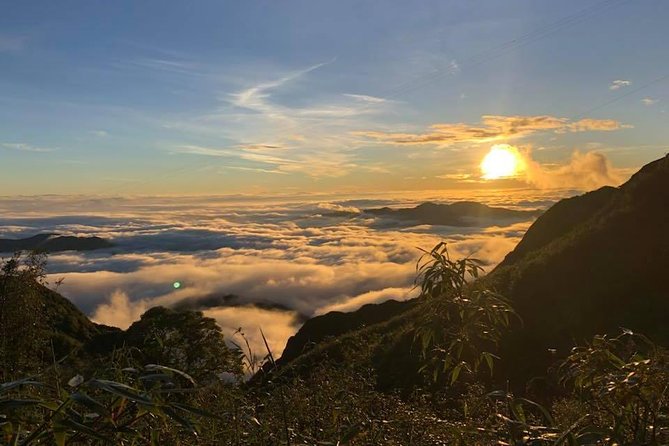 1 day Fansipan Trekking - The guide can make or break the day