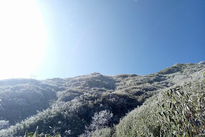 1 day Fansipan Trekking - A 6:00 am start from Sapa