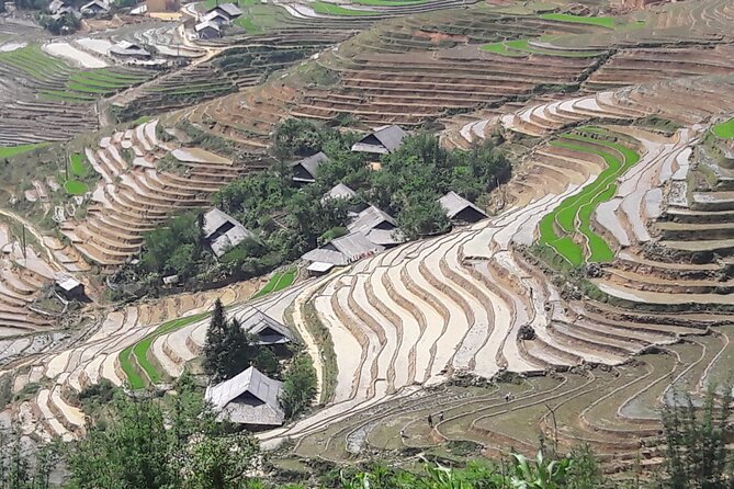 1 Day Sapa Authentic Trekking ( off beaten track ) - Lunch at a local restaurant