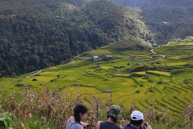 1 Day Sapa Authentic Trekking ( off beaten track ) - Cornfields, black limestone, and the afternoon trail