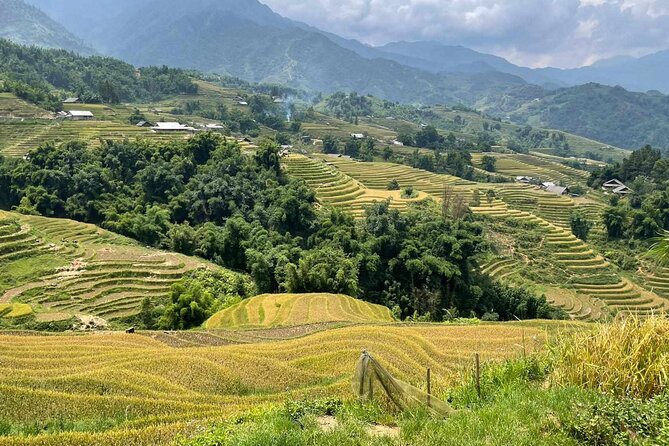 1 Day Sapa Authentic Trekking ( off beaten track ) - Who will enjoy this Sapa trek most