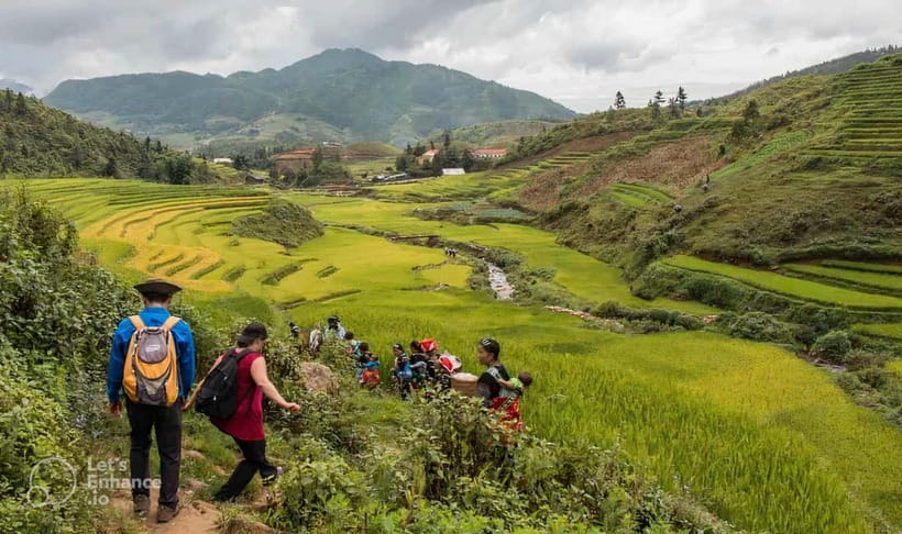 1-Day Sapa Long Trek - Rice Field Terrace, Ethnic Culture - Key points to know before booking