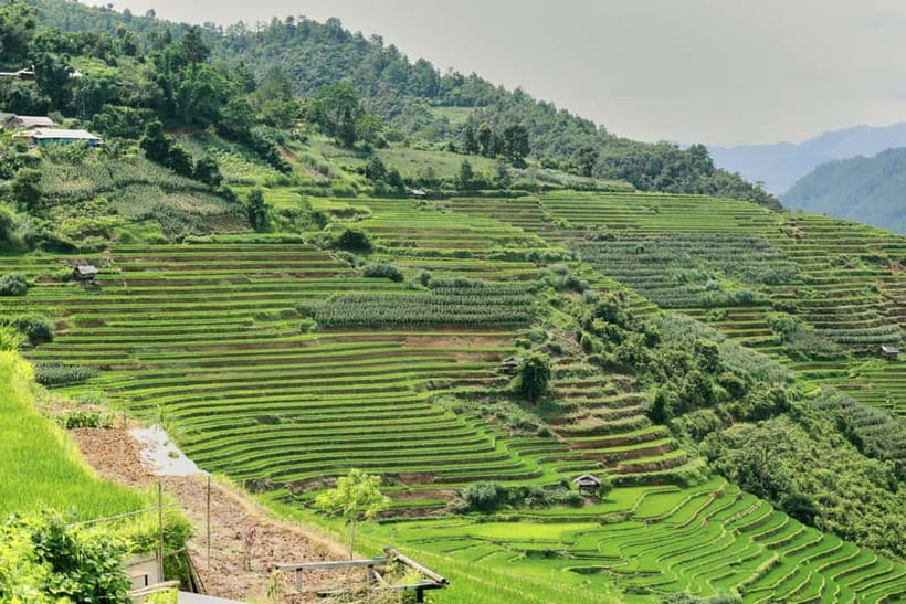 1-Day Sapa Long Trek - Rice Field Terrace, Ethnic Culture - 11:00 AM: Y Linh Ho and the wooden bridge