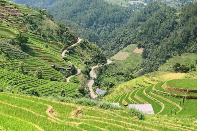 1-Day Sapa Long Trek - Rice Field Terrace, Ethnic Culture - What the guides add to the experience