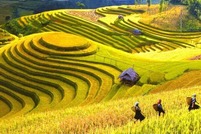 1 Day Sapa Tour Explore Y Linh Ho And Lao Chai And Ta Van Village - Starting in Sapa Town between 8 and 8:50