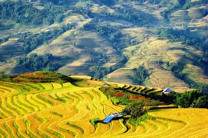 1 Day Sapa Tour Explore Y Linh Ho And Lao Chai And Ta Van Village - What the guide adds to the walk