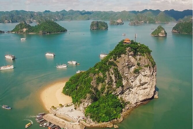 1 Day Tour to Halong Bay Cruise from 3 - 5 star Cruise & Transfer - Walking through Sung Sot Cave