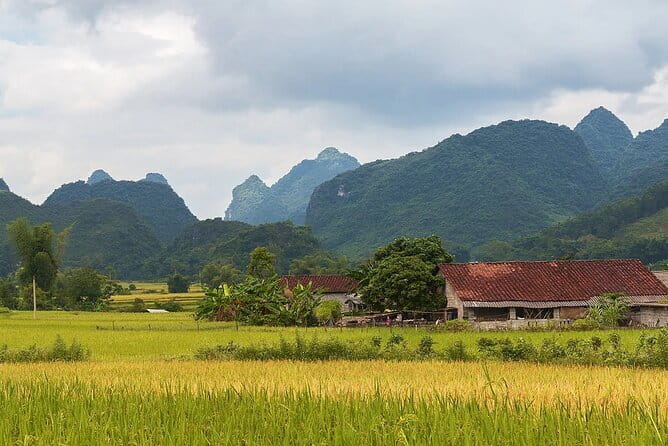 12 Days in Vietnam | Cultural Exploration with Beach Escapes - Hoi An after the coconut forest