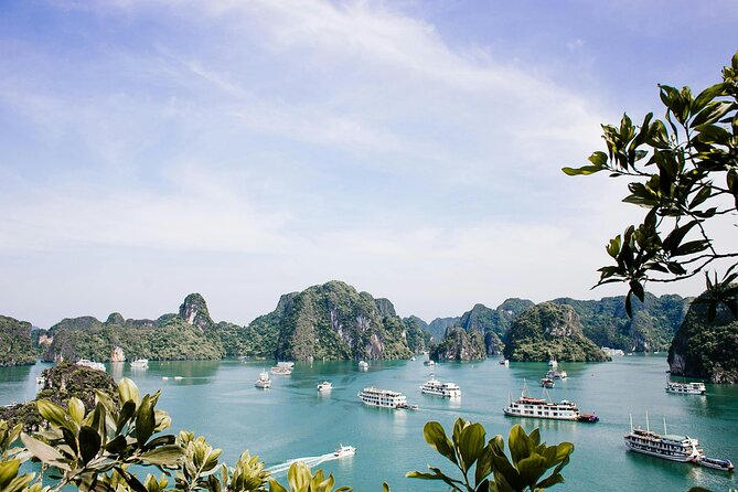 12 Days Vietnam Tour Package - Halong Bay: one night on the water