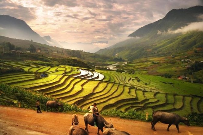 15-Day Majestic Vietnam FULL Package - 68% OFF + Bonuses - Da Nang, My Son and a free day in Hoi An