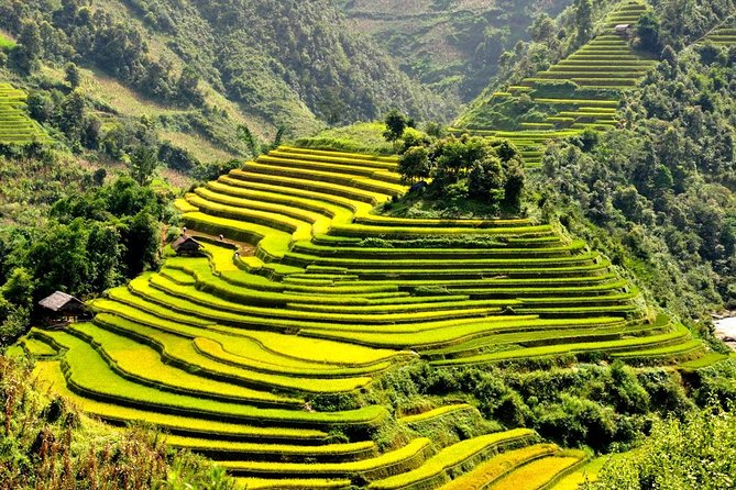 15-Day Majestic Vietnam FULL Package - 68% OFF + Bonuses - Ho Chi Minh City, the Mekong Delta and Cu Chi