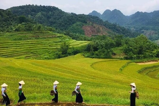 15-Day Vietnam Itinerary All in One | Travel Package 2026-2027 - Days 1 to 4: Hanoi, Ha Long Bay, and Ninh Binh