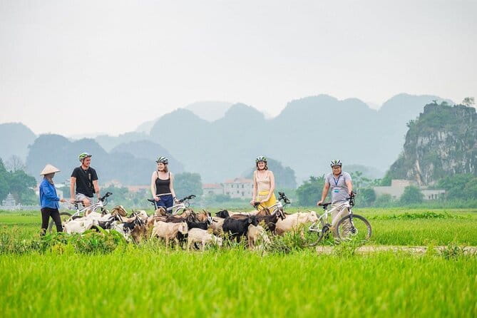 17-Day Vietnam Tour | Explore the Best Highlights of Vietnam - Pu Luong brings rice terraces and village trails