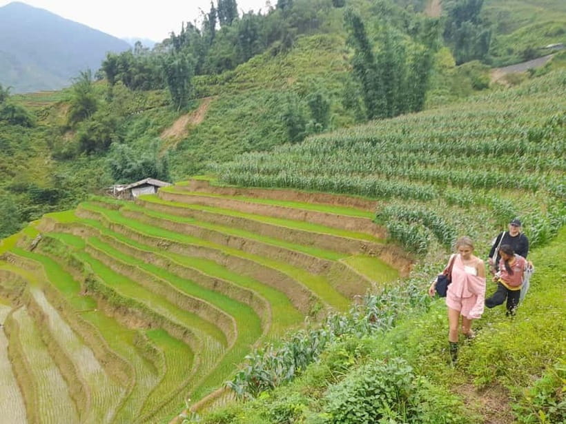 2-Day Sa Pa Ethnic Homestay Tour & Trek with Limousine Bus - Day two: rice paddies, bamboo forest, and Giang Ta Chai