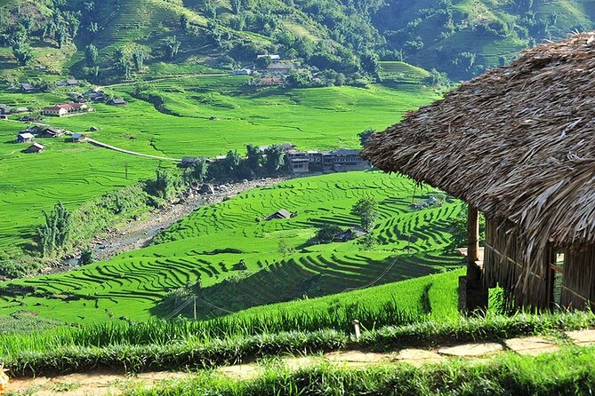 2-Day Trekking Adventure of Sapa from Hanoi with Night Bus - Y Linh Ho and the long walk to Ta Van