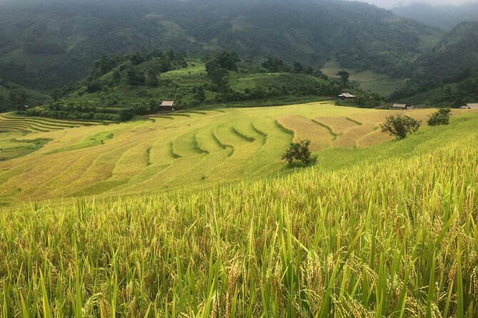 2 Day Trekking Experience: Explore with knowledgeable local guide - Staying with Bau’s family