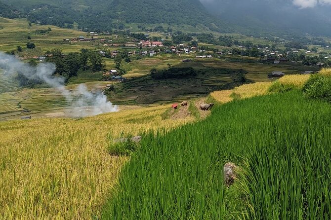 2 Day Trekking Experience: Explore with knowledgeable local guide - Booking details worth checking