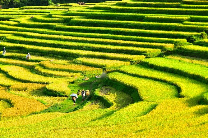 2 Days Pu Luong Offbeat Trekking Best for Mountain Lovers - Who should book this trip