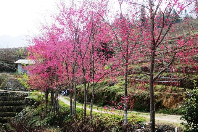 2 Days Sapa Trekking In Cat Cat And Ta Van Village From Hanoi - What to pack for the trail
