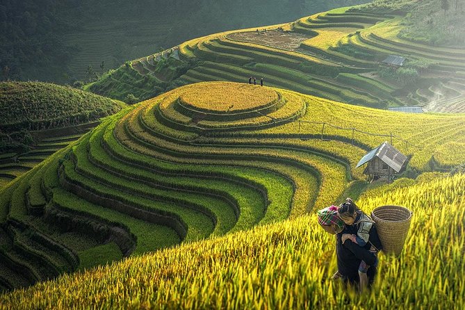 2-Night Sapa Tour with Fansipan Peak by Bus from Hanoi - Two nights in Sapa town