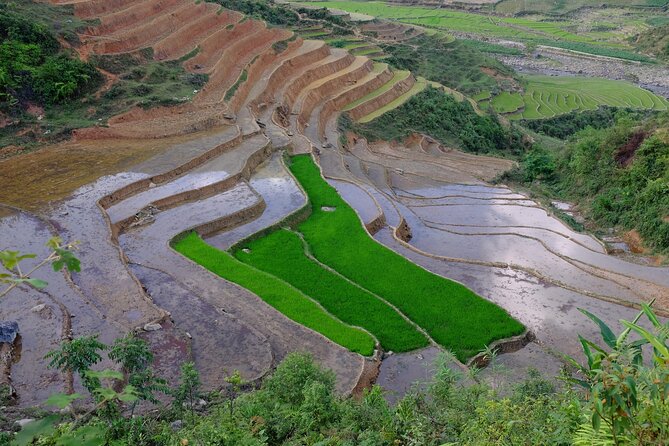 2D1N Buffalo trek by Hmong Sister House and Trekking - Why the buffalo house changes the trek