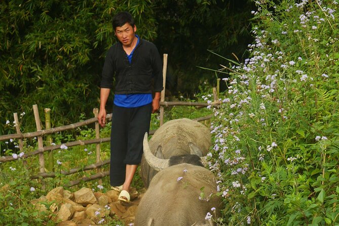 2D1N Buffalo trek by Hmong Sister House and Trekking - What the guide adds to the walk
