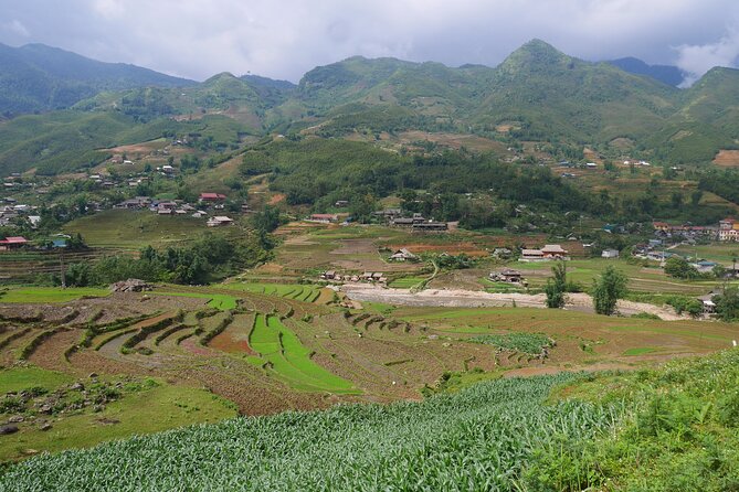 2D1N Buffalo trek by Hmong Sister House and Trekking - Is $110 good value for two days?