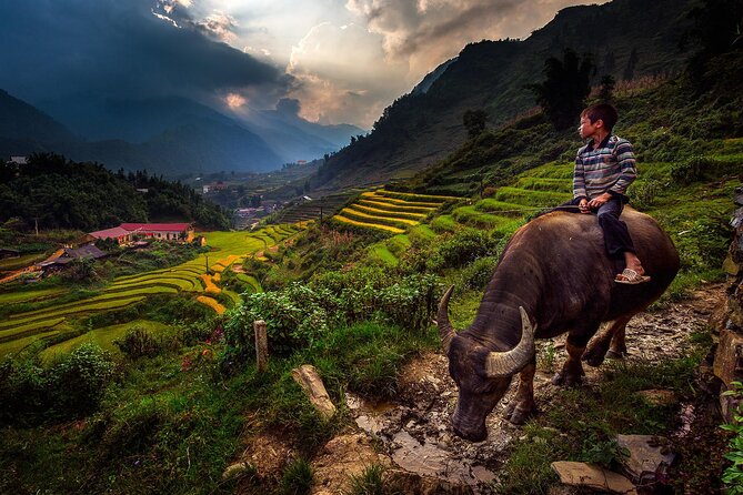 2D1N Buffalo trek by Hmong Sister House and Trekking - A practical start at 7 a.m. in Sapa