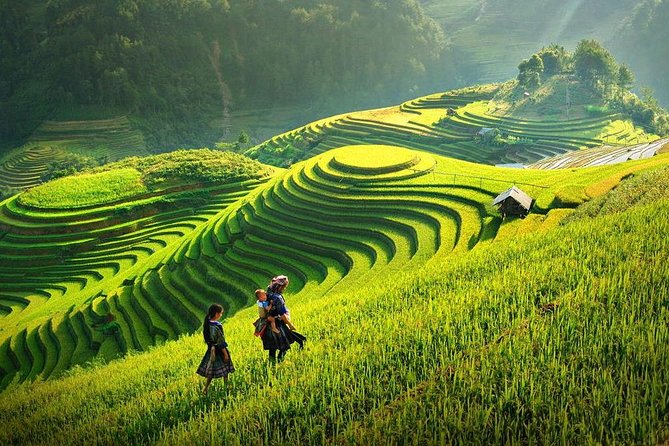 3-Day Sapa Real Valley View Homestay & Fansipan–Roof of Indochina - Guide service, group size, and communication