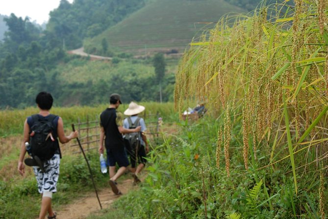 3-Day Trek in Amazing Muong Hoa Valley & ethnic Homestay - Why three days is the right length for Muong Hoa Valley