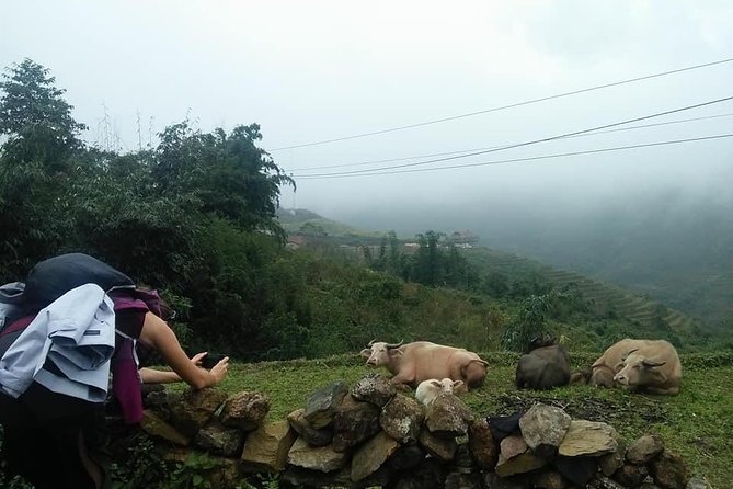 3-Day Trek in Amazing Muong Hoa Valley & ethnic Homestay - What you are really paying for at $109