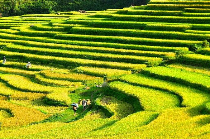 3 Days Pu Luong Off-road Trekking Best for Mountain Lovers - Should you book the Pu Luong trek?