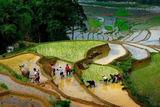 3 Days SAPA Real Experience at Local People House - Arriving in Sapa and meeting your local host