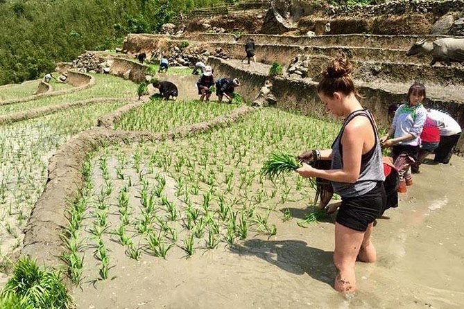 3 Days SAPA Real Experience at Local People House - Cooking, farm work, and a slower morning