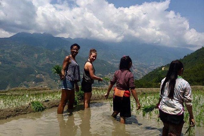 3 Days SAPA Real Experience at Local People House - Ta Van Village and the first night in a local home