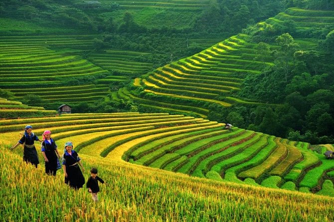 3-Night Sapa Trek and Homestay with Round Trip Transfer from Hanoi - From Hanoi Station to the mountains by overnight train