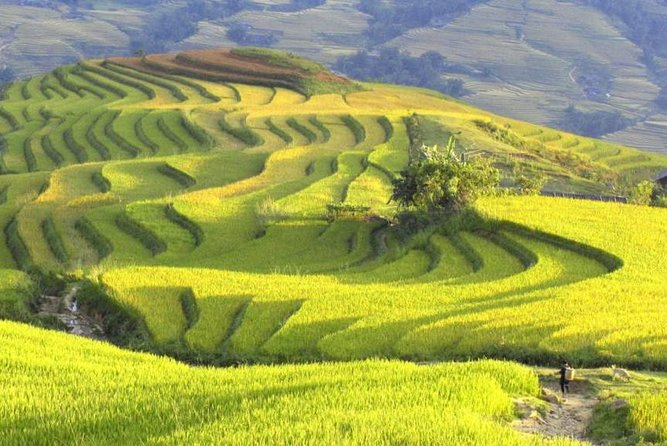 3-Night Sapa Trek and Homestay with Round Trip Transfer from Hanoi - Y Linh Ho and the first mountain trails