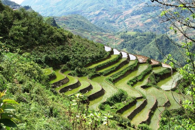 3-Night Sapa Trekking Tour from Hanoi - Ta Phin Village and the Red Dao