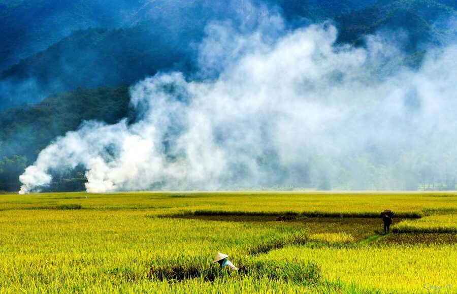 3D2N Mai Chau - Pu Luong from rice valley to nature reserve - Key points to know before you book