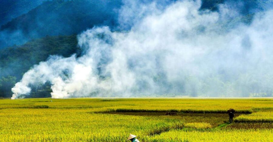 3D2N Mai Chau - Pu Luong from rice valley to nature reserve - From Hanoi to the rice fields of Mai Chau