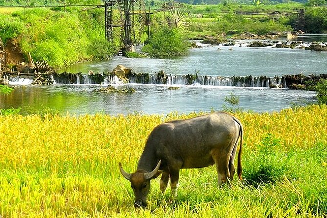 5, 6, 7 day Vietnam Itinerary | Charming | 2026 Northern Packages - Ninh Binh trades seawater for limestone rivers