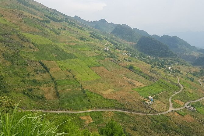 5 Days 4 Nights Ha Giang Easy Driving Motorbike Tours - What the homestays and meals are really like