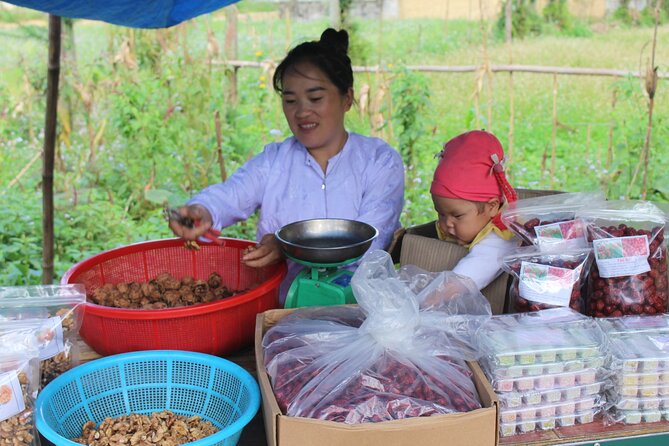 6 - 8 Day Vietnam Itinerary | Magnificent | Best 2026 Northern - Day 1: Sapa villages and rice-terrace views