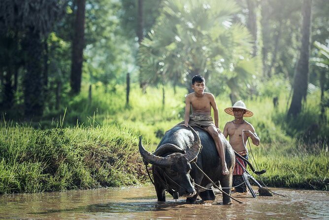 6 Days 5 Night Ha Long Bay, Ninh Binh and Sapa Tour - Key points to know before booking