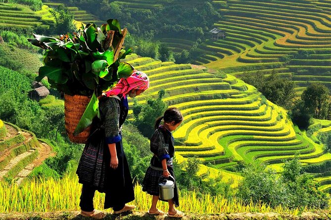 7 Days Vietnam Travel (Hanoi- Ninh Binh - Sapa - Ha Long) - Day 5: Boarding the Ha Long Bay cruise