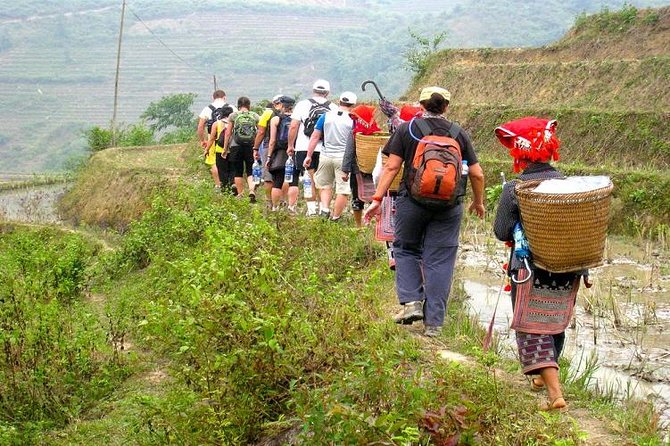 8-Day Discover Northern Vietnam Highlight: Hanoi - Ninh Binh - Sapa - Halong Bay - Who should book this northern Vietnam tour?