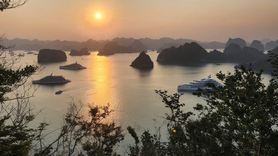 All-Inclusive HaLong Bay Luxury Day Cruise: Many Option - Luon Cave by kayak or bamboo boat
