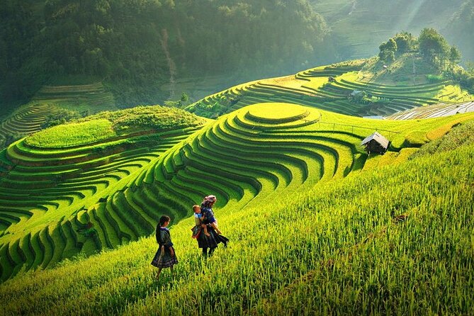 Amazing Sapa Fansipan Cable Car - Trekking: Fun, Majestic fr Sapa - The Sapa pickup and the local cultural side