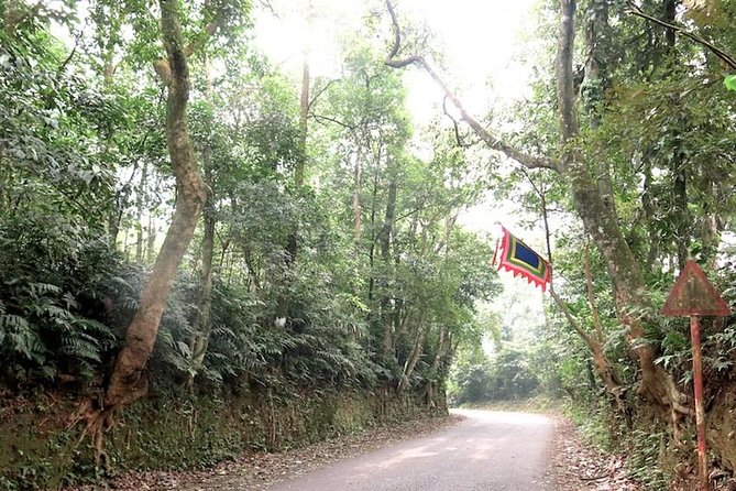 Ba Vi National Park Private Tour: Sightseeings & Jungle Hikking - Why Ba Vi makes a good escape from Hanoi